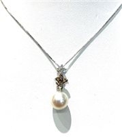 Collana Davite & Delucchi Donna in Oro bianco PERLA_CLN4609 - PERLA_CLN4609